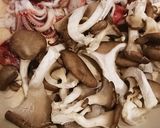 ボイルイカとヒラタケ炒め作り方5写真