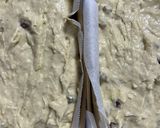 乾物のおからパウダーとバナナ救済作り方6写真