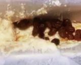 クリームチーズ★米粉ケーキグルテンフリー作り方3写真