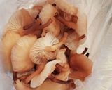 あしながきのこのつけ麺作り方1写真