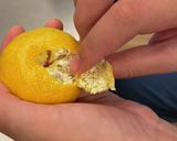 ズボラなわが家の息子が作る自作デザート作り方2写真