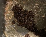 ひじきの赤ワインソース　ポークソテーに作り方6写真