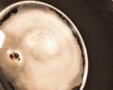 砂糖を使わないダシの効いた肉じゃが作り方3写真