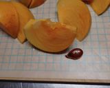 柿の皮むき・種とり作り方12写真