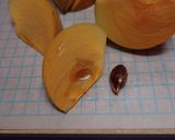 柿の皮むき・種とり作り方15写真