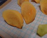 柿の皮むき・種とり作り方18写真
