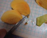 柿の皮むき・種とり作り方19写真