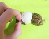 里芋の豆乳味噌グラタン作り方3写真