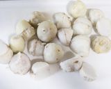 里芋の豆乳味噌グラタン作り方4写真