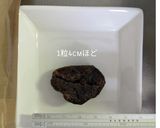 【改良】デーツでトリュフボール作り方1写真