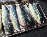 生サバから作る!手作りしめ鯖作り方2写真