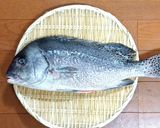 コショウダイのセビーチェ～魚の駅生地～作り方2写真