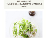 定番＆手軽な【しらすおろし（ぽん酢）】作り方3写真
