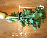 大根の葉でサグチキンカレー風作り方1写真