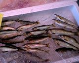 鮎（あゆ）の唐揚げ梅肉ソース～魚の駅生地作り方1写真