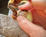 イカと大根と里芋の煮物(おまけ付き)作り方5写真