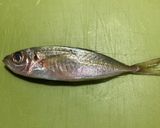頭も食べる鯵（あじ）の黒酢南蛮づけ作り方2写真