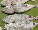 頭も食べる鯵（あじ）の黒酢南蛮づけ作り方4写真