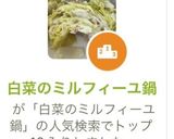 白菜のミルフィーユ鍋作り方6写真