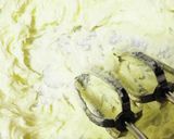 抹茶好きのためのパウンドケーキ作り方1写真