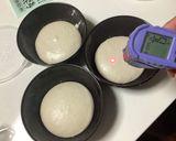 ピッツァコンテンポラーネア加水率73%作り方10写真