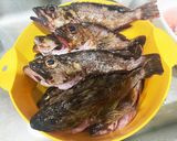 ガシラ（カサゴ）の一夜干し作り方7写真