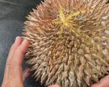 インドネシア♡ランプンのドリアンコーヒー作り方7写真