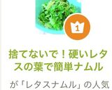 捨てないで！硬いレタスの葉で簡単ナムル作り方8写真