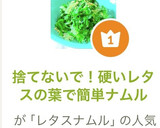 捨てないで！硬いレタスの葉で簡単ナムル作り方8写真