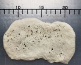 ベーコンエピ作り方8写真