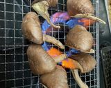 干し椎茸焼き作り方2写真