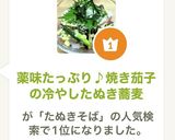 薬味たっぷり♪焼き茄子の冷やしたぬき蕎麦作り方15写真