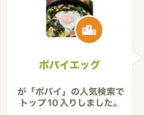 ポパイエッグ作り方10写真