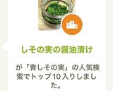 しその実の醤油漬け作り方9写真