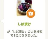 しば漬け作り方14写真