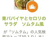 青パパイヤとセロリのサラダ　ソムタム風作り方8写真