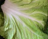 白菜と豚肉のミルフィーユ蒸し♡作り方14写真