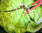 白菜と豚肉のミルフィーユ蒸し♡作り方20写真