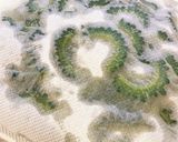神つまみシリーズ:ゴーヤのシーチキン漬け作り方6写真