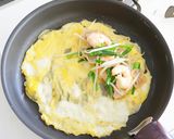 ライスペーパーバインセオ作り方10写真
