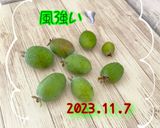 フェイジョア大福作り方20写真