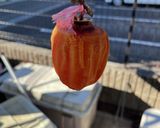 干し柿の作り方作り方5写真