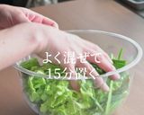 このキムチレシピはぜひ保存してください。作り方11写真