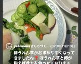 ほうれん草の巣ごもり風目玉焼き✨作り方18写真