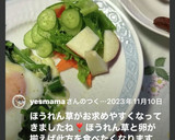 ほうれん草の巣ごもり風目玉焼き✨作り方18写真