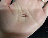 HMで簡単*グラブジャムン作り方7写真