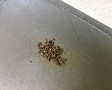 ささっと♪レタスの香味豆豉炒め作り方3写真