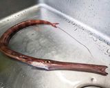 アカヤガラの刺し身作り方1写真