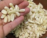 どんぐりプードル作り方4写真
