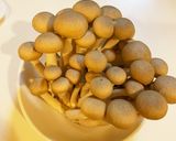 簡単過ぎるおつまみ作り方1写真